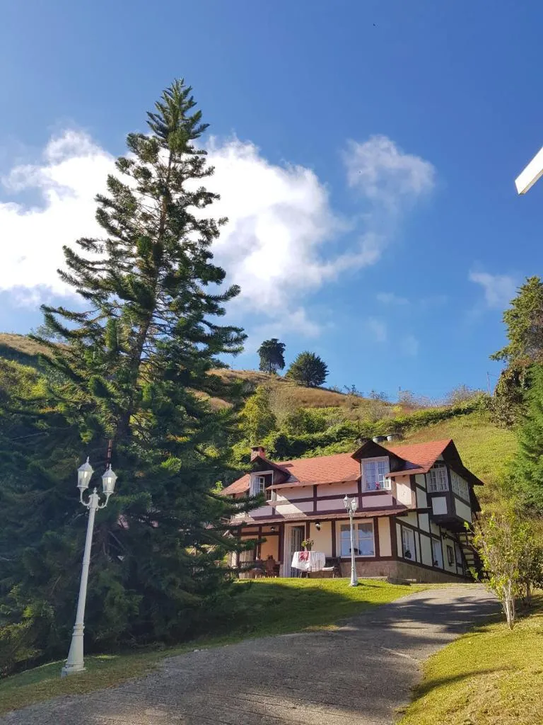 Jardín frontal con araucaria y camino de entrada