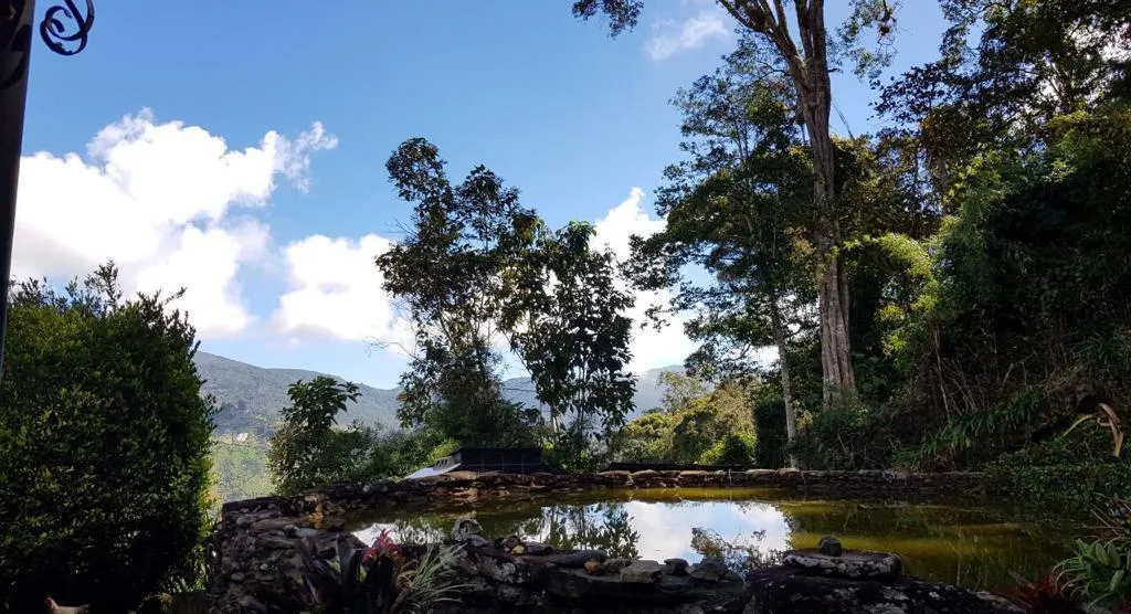 Laguna y jardín de piedra de Monte Tovar, rodeados de árboles