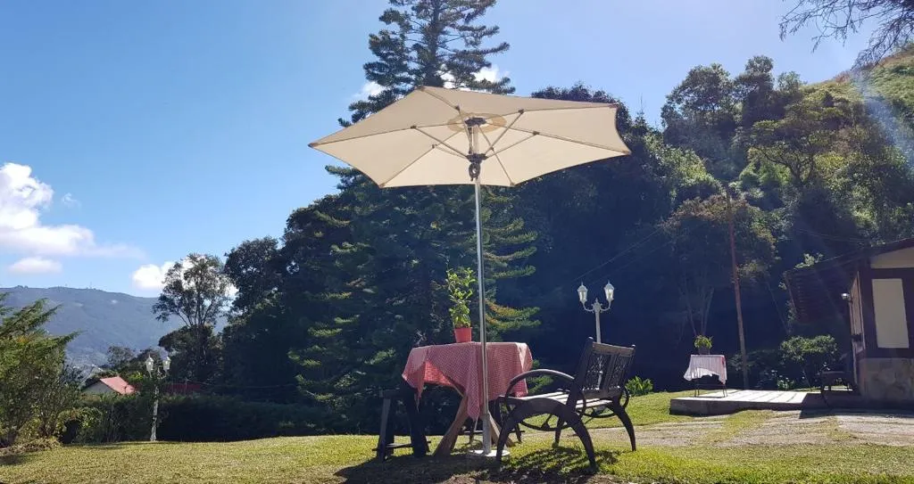 Mesa con sombrilla en el jardín, vista a la montaña
