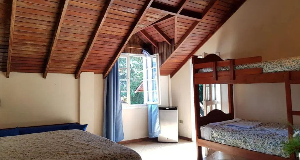 Ventana con vista a la araucaria y flores del jardín